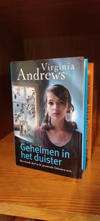 Geheim in het duister - Virginia Andrews, Ophalen of Verzenden, Gelezen, Virginia Andrews, Nederland