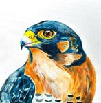 schilderijtje Slechtvalk, Ophalen of Verzenden