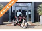 Kawasaki Z1000 127pk Special Paint (bj 2004), Motoren, Motoren | Kawasaki, 953 cc, Bedrijf, Meer dan 35 kW, Overig
