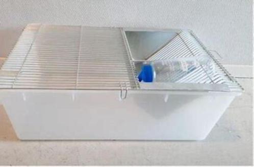 Nieuwe labbakken te koop bij csreptiles Venlo, Dieren en Toebehoren, Reptielen en Amfibieën | Toebehoren, Nieuw, Overige typen