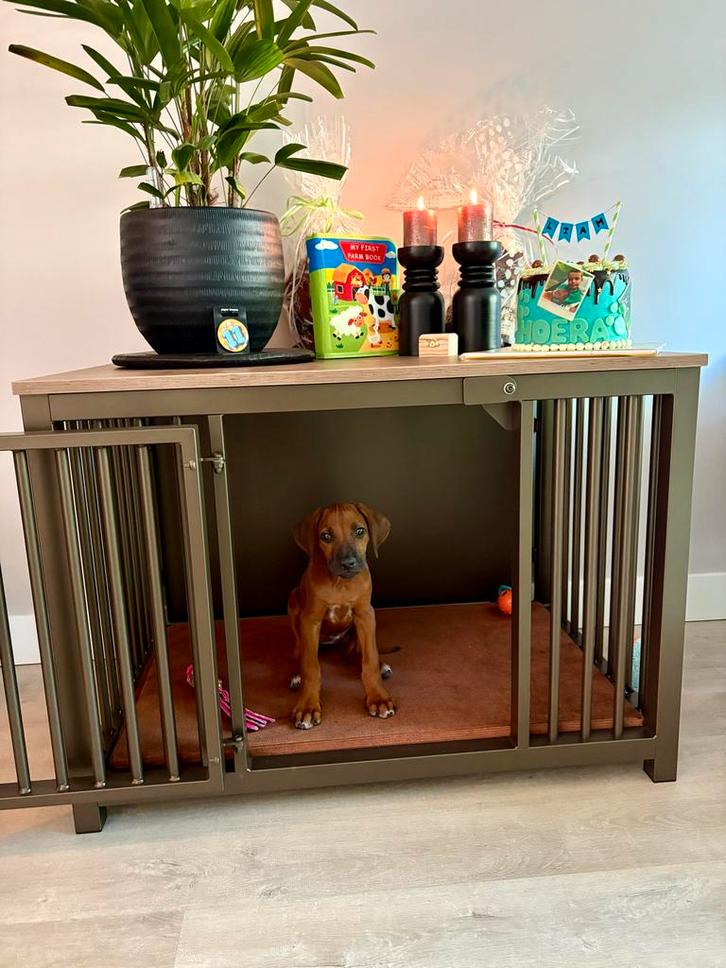 Woef Woningen stalen bench maat M. Bruin met wild wood, Dieren en Toebehoren, Hondenhokken, Zo goed als nieuw, Hondenkennel, 65 tot 100 cm