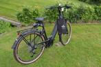 Pegasus Premio EVO 10 Framemaat 50 cm 625 WH accu, Nieuw, Overige merken