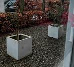 2 bloembakken met olijfstruiken, Ophalen of Verzenden, Zo goed als nieuw, Rond, Kunststof