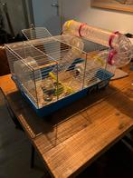 Hamsterhok, Dieren en Toebehoren, Minder dan 75 cm, Zo goed als nieuw, Ophalen, Minder dan 60 cm
