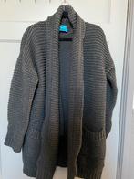 Ibiza People vest/jas, Kleding | Dames, Ophalen of Verzenden, Zo goed als nieuw, Maat 38/40 (M), Grijs