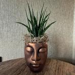 Boeddha Bloempot met Plant, Huis en Inrichting, Ophalen of Verzenden, Zo goed als nieuw