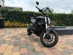 Benelli 502C (A2) geschikt, 2 cilinders, ABS, Particulier, Minimaal motorrijbewijs A2