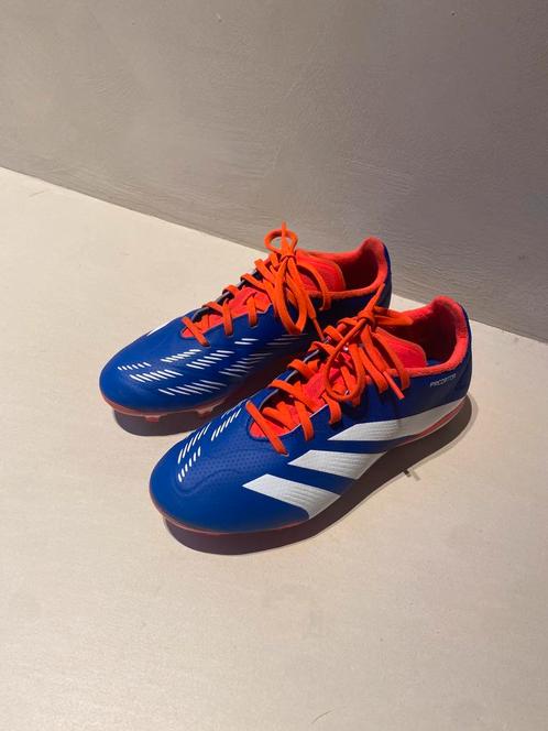 Adidas predator schoetbal schoenen, Sport en Fitness, Voetbal, Zo goed als nieuw, Schoenen, Maat XS of kleiner, Ophalen