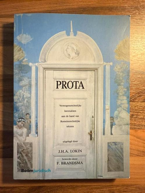 J.H.A. Lokin - Prota - ISBN 9789462906624, Boeken, Wetenschap, Zo goed als nieuw, Ophalen of Verzenden