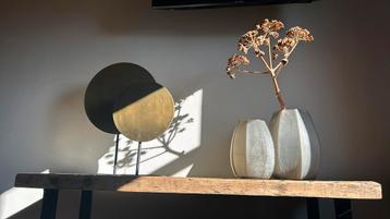 Light & Living ornamenten, alleen nu samen voor €50! beschikbaar voor biedingen