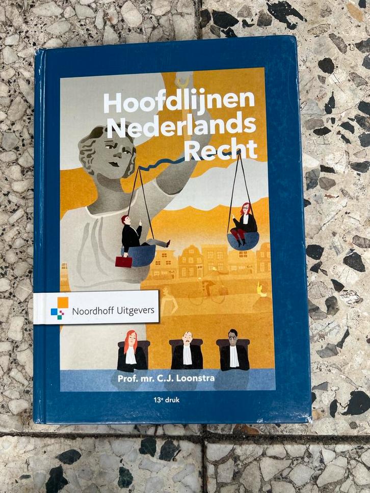 Hoofdlijnen Nederlands Recht - 13e druk, Boeken, Studieboeken en Cursussen, Zo goed als nieuw, HBO, Gamma, Ophalen of Verzenden