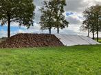 voederbieten te koop, Dieren en Toebehoren, Dierenvoeding, Ophalen, Vee