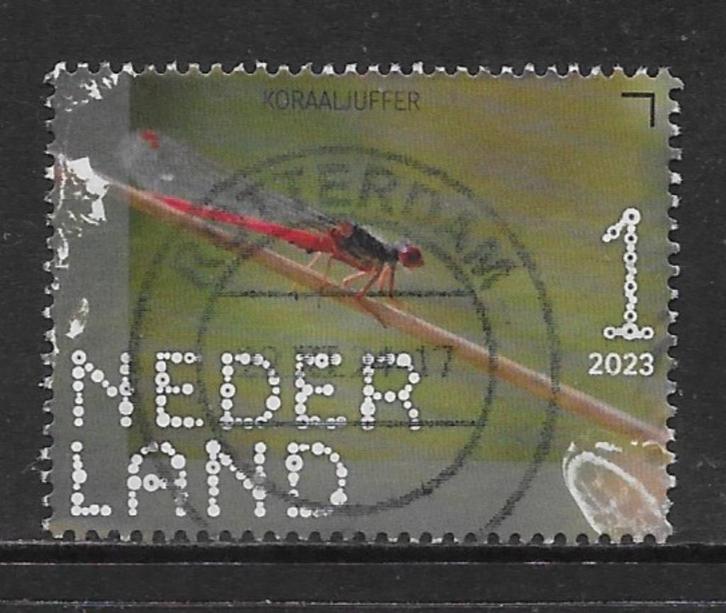 2023, Oisterwijk, Koraaljuffer [4141] (K0805), Postzegels en Munten, Postzegels | Nederland, Ophalen of Verzenden