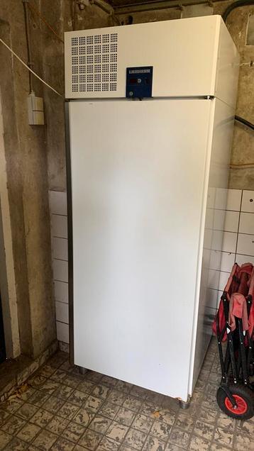 Horeca koelkast Liebherr beschikbaar voor biedingen