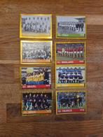 Panini WK 2022, Ophalen of Verzenden, Zo goed als nieuw, Plaatje