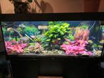 Aquarium juwel rio 240 incl onderkast en verlichting origine, Ophalen, Gebruikt, Leeg aquarium