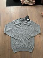 Goedkope mannen v hals trui maat L, Ophalen of Verzenden, Nieuw, Maat 52/54 (L), Grijs