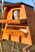 Uilen kast, Dieren en Toebehoren, Meerdere dieren