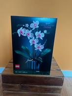 Lego 10311 Botanical Orchid, Ophalen of Verzenden, Nieuw, Complete set, Lego
