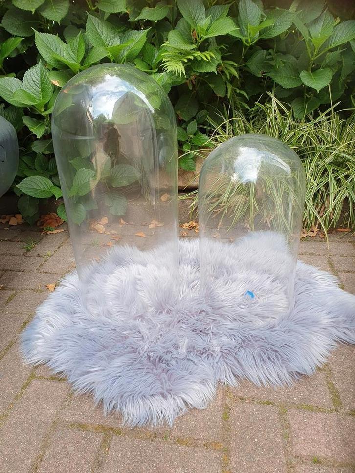 2 grote glazen stolpen/grote antieke glazen stolp, Huis en Inrichting, Woonaccessoires | Stolpen, Zo goed als nieuw, Ophalen of Verzenden