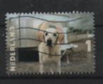 ‹(•¿•)› nl j0073 dierportret dumas hond, Verzenden, Na 1940, Gestempeld