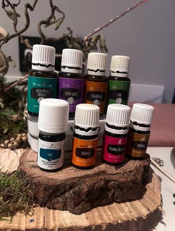 Young living olie, nieuw zgan  beschikbaar voor biedingen
