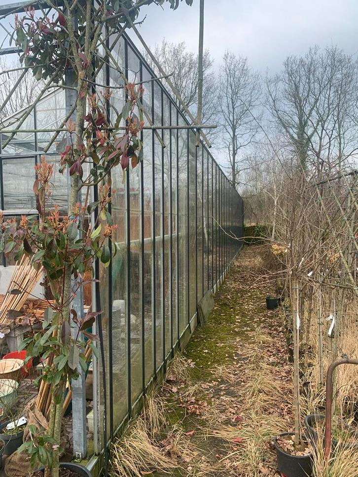 Professionele glazen kweekkas (gedemonteerd), Doe-het-zelf en Verbouw, Overige Doe-het-zelf en Verbouw, Gebruikt, Ophalen