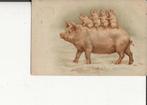 Varken met biggetjes op zijn rug 10 sept 1902, Verzenden, Voor 1920, Gelopen, Overige thema's