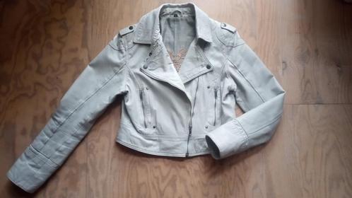 Leren motorjack in zeer goede staat! Maat L, Transmission, Kleding | Dames, Jassen | Zomer, Zo goed als nieuw, Maat 42/44 (L)