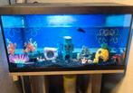 aquarium bieden, Dieren en Toebehoren, Vissen | Aquaria en Toebehoren, Ophalen