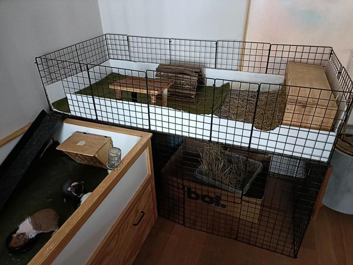 Draadkubus caviahok, Dieren en Toebehoren, Knaagdieren en Konijnen | Hokken en Kooien, Gebruikt, 90 cm of meer, 110 cm of meer