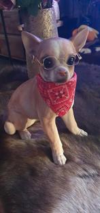 Chihuahua beeld ., Verzamelen, Beelden en Beeldjes, Ophalen of Verzenden