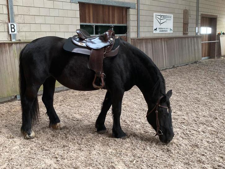 Prachtig westernzadel Garland White star XL, Dieren en Toebehoren, Paarden en Pony's | Zadels, Zo goed als nieuw, Ophalen of Verzenden