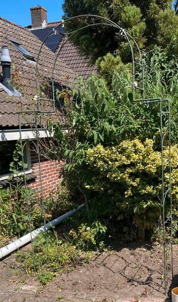 Rozenboog, metaal, in groen beschikbaar voor biedingen