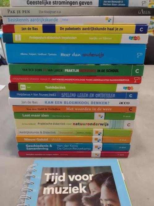 pabo boeken, Boeken, Studieboeken en Cursussen, Zo goed als nieuw, HBO, Alpha, Ophalen of Verzenden