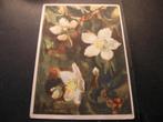 Voor het Kind Ansichtkaart 1946 Kerstrozen, Verzenden, 1940 tot 1960, Ongelopen, Kinderen