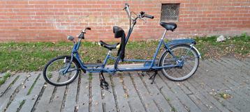 Kind volwassen tandem beschikbaar voor biedingen