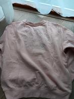 Trui H&M roze broderie anglaise, Kleding | Dames, Maat 38/40 (M), H&M, Ophalen of Verzenden, Zo goed als nieuw