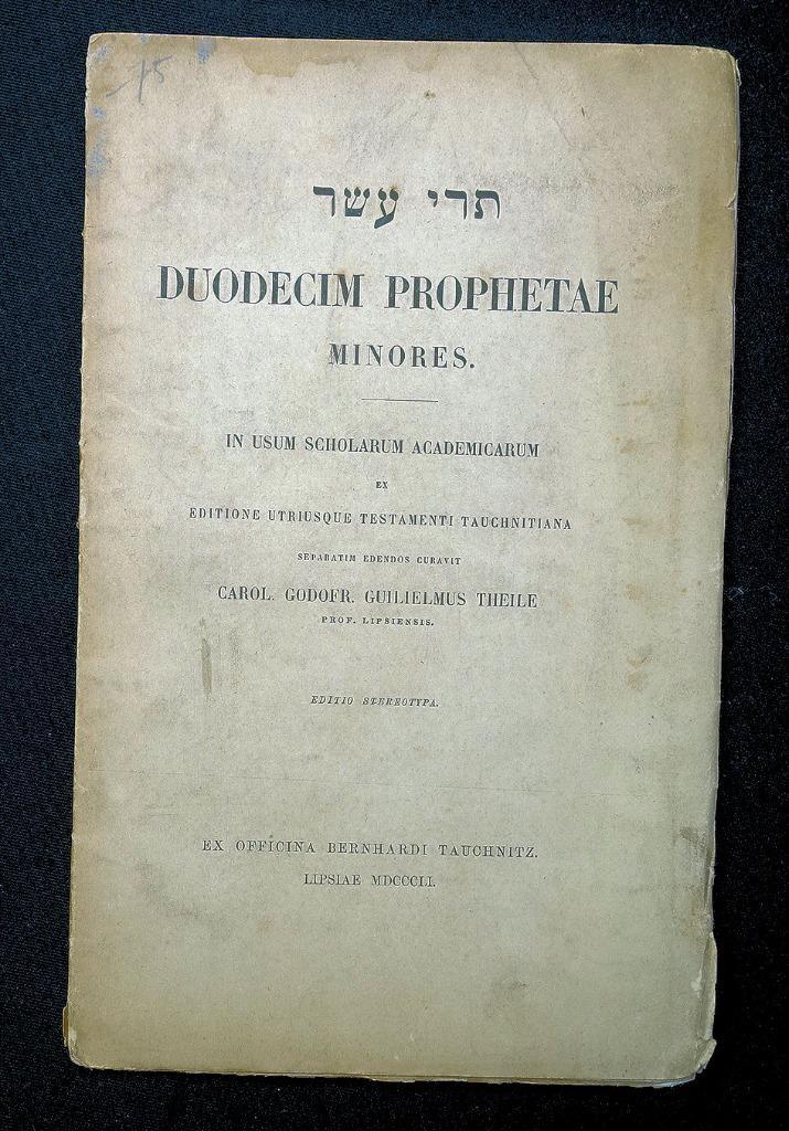 Duodecim Prophetae Minores 1851 Theile - Hebreeuws, Antiek en Kunst, Antiek | Boeken en Bijbels, Ophalen of Verzenden