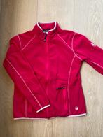 Mooi vest maat 36, Ophalen of Verzenden, Zo goed als nieuw, Roze, Maat 36 (S)