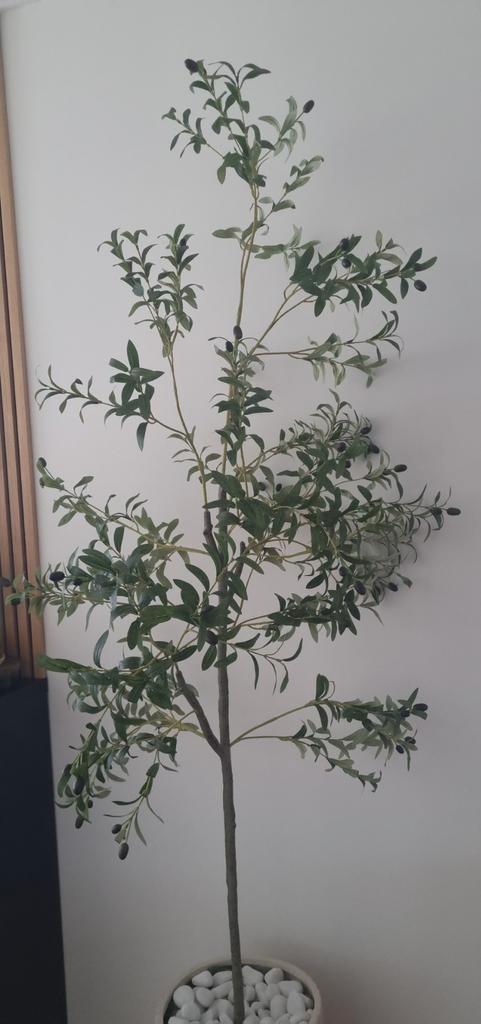 Kunst Olijfboom inclusief pot. - Sfeervolle Decoratie, Huis en Inrichting, Woonaccessoires | Kunstplanten en Kunstbloemen, Zo goed als nieuw