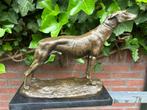 bronzen statige hond greyhound windhond, Antiek en Kunst, Ophalen of Verzenden