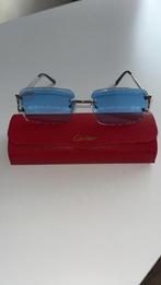 Stijlvolle Heren/ vrouwen Zonnebril - Duurzaam & Comfortabel, Vacatures, Profielen | Man/Vrouw zoekt werk, 33 - 40 uur, Overige vormen