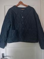 Blauwe Gewatteerde Jas - Maat L van Zeeman nieuw, Kleding | Dames, Maat 38/40 (M), Blauw, Nieuw, Ophalen of Verzenden