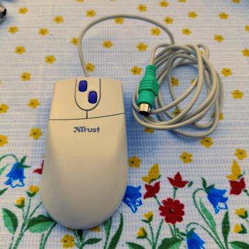 Trust Ami Mouse 300 Dual Scroll PS/2 beschikbaar voor biedingen
