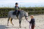 Super lieve Welsh merrie te koop, Dieren en Toebehoren, Pony's, Merrie, Gechipt, Zadelmak, A pony (tot 1.17m)