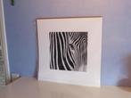 Te koop aangeboden: Schilderij modern., Ophalen, 50 tot 75 cm, Nieuw, Schilderij