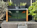 Terras Koi aquarium/vijver zeer mooi en uniek, Tuin en Terras, Vijvers, Ophalen