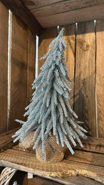 Kerstboom beschikbaar voor biedingen