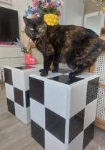 Tegel tafel, Overige materialen, Minder dan 55 cm, Nieuw, Rechthoekig